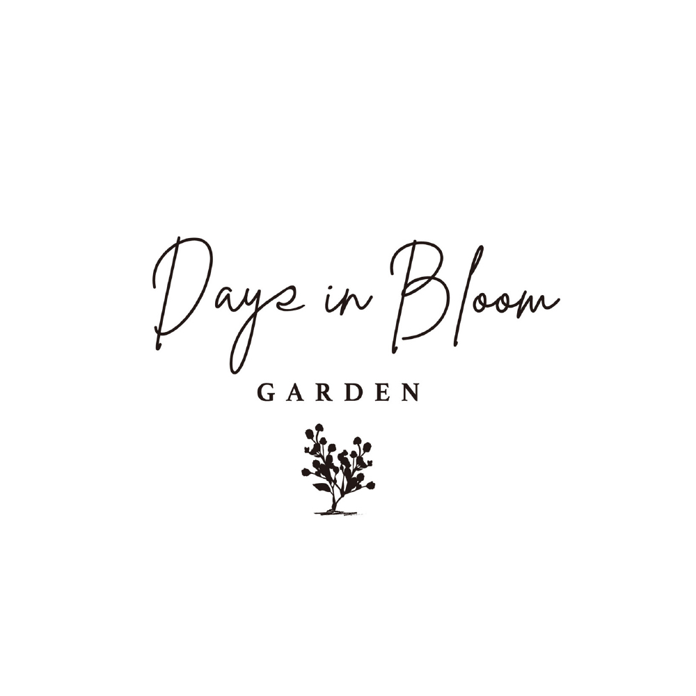 デイズインブルーム ハンド＆バスソルトジャーセット（ハーブ）